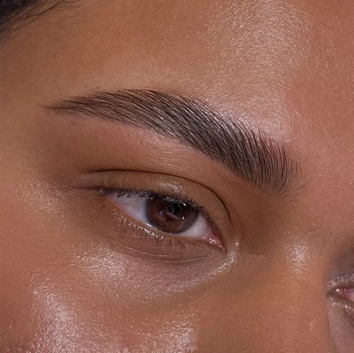 Sourcils plus fournis et brossés après une lamination